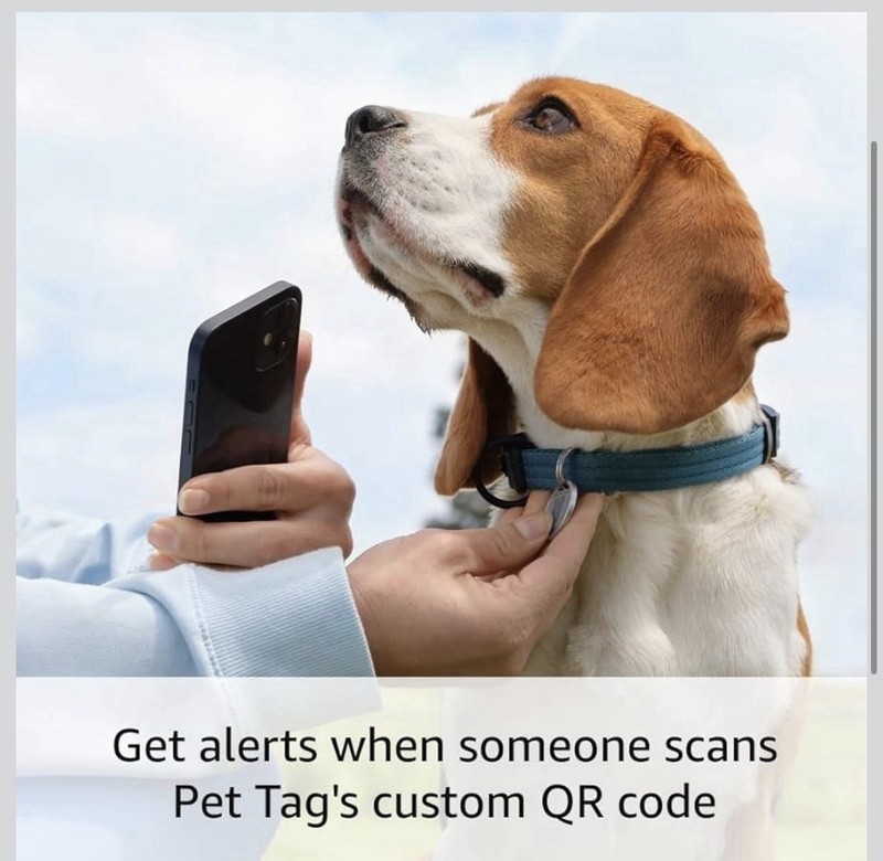 Ring Indoor Cam (2nd Gen), Black with Ring Pet Tag gallery
