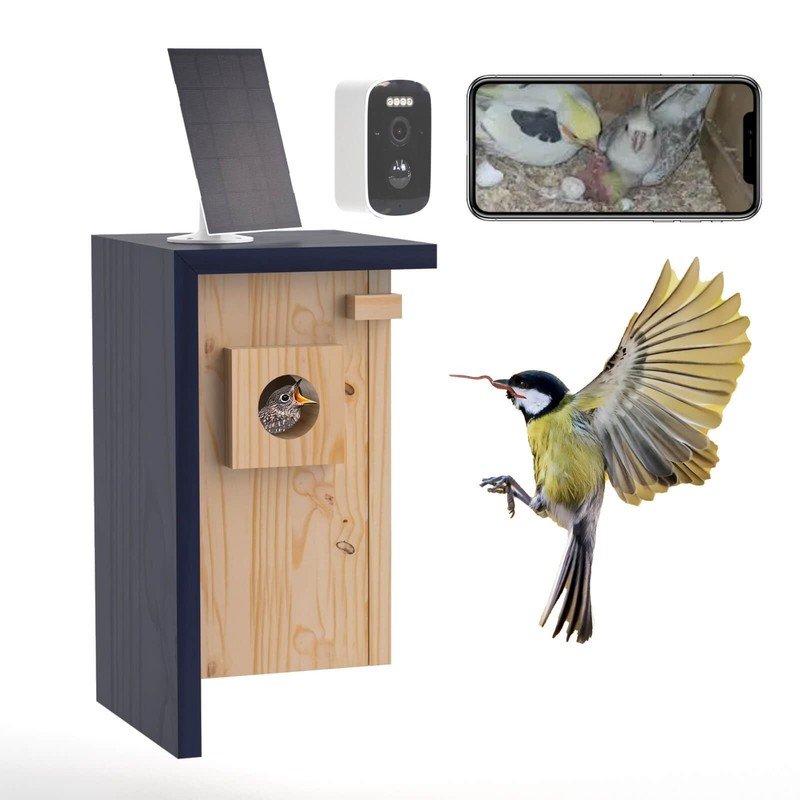 Solar Powered Birdhouse Camera – 1080P/2K HD, WiFi Live View, Night Vision, Real