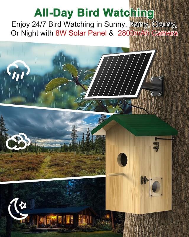 2K HD Solar Bird Watching House with Wi-Fi Camera - Perfect for Bird Enthusiasts gallery