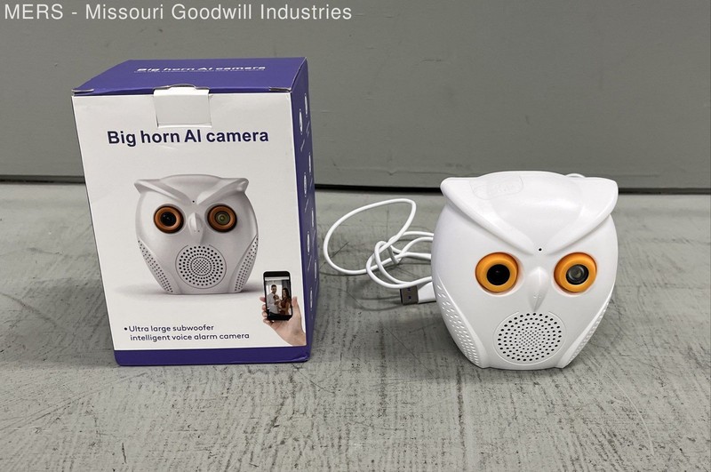 Big Horn HD20Y1XM-WIFI Owl AI Security Camera WiFi Voice Alarm Baby Monitor