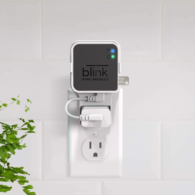256GB Blink USB Flash Drive and Outlet Wall Mount for Blink Sync Module 2, Local gallery