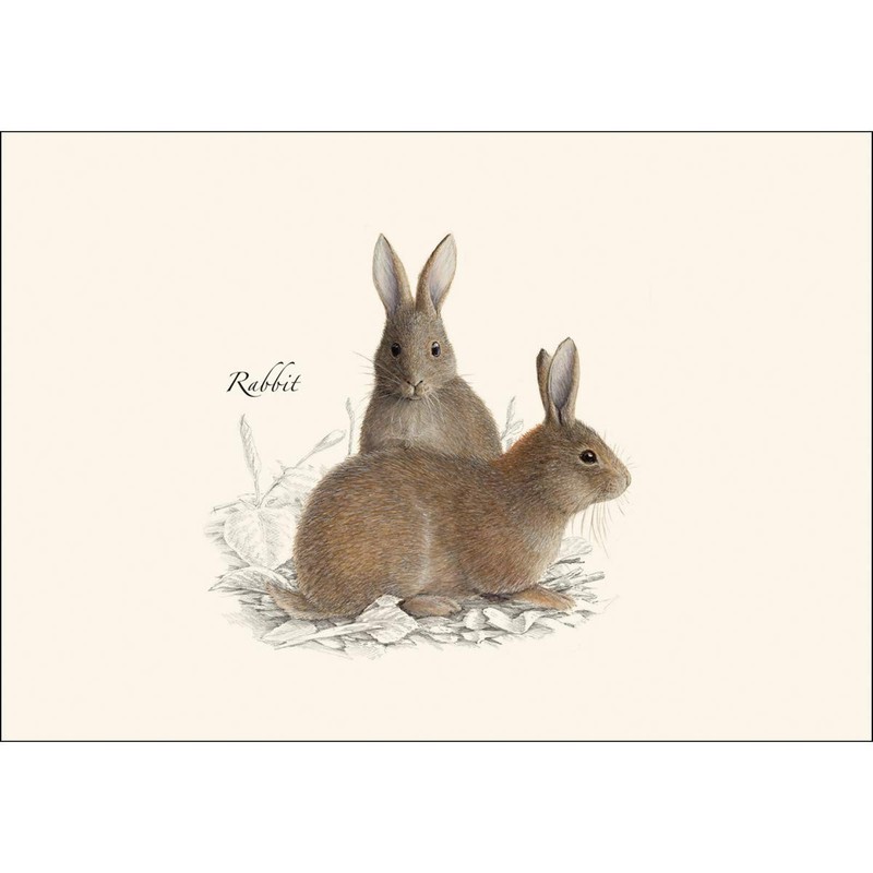 Rabbit Hare Assortment Notecard Set 8 Blank Cards Envelopes Greeting Card gallery