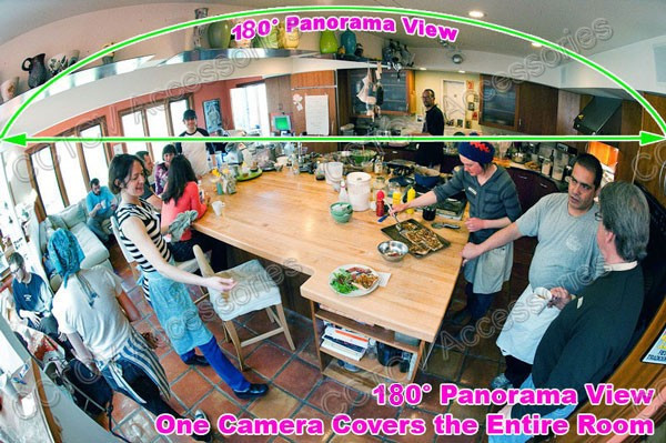 360/180 Panoramic view In/Outdoor Fisheye Mini Dome Camera 700TVL gallery