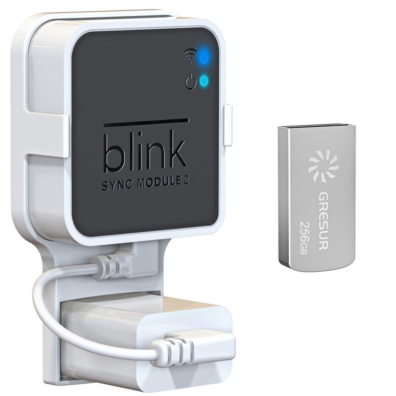 256GB USB Flash Drive for Local Video Storage with The Blink Sync Module 2 Mo…