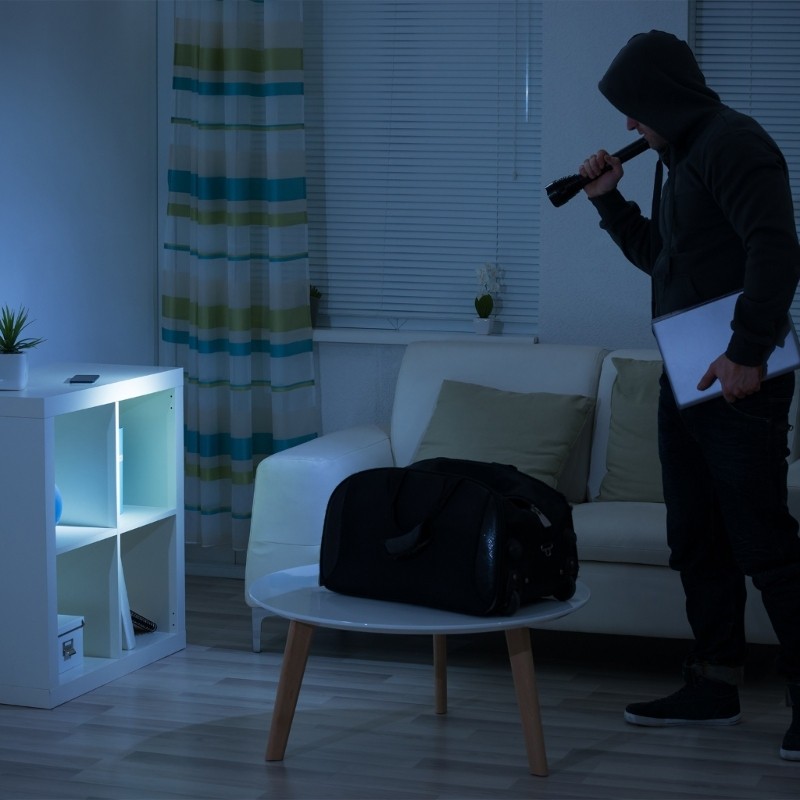 Cost Effective Decoy Security Camera LED Light Theft Prevention Indoor Outdoor gallery