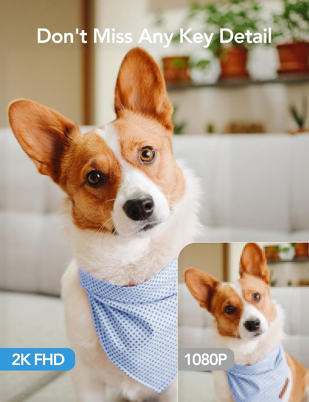 2K Cameras for Home Security-Indoor Pan/Tilt Cameras for Baby Monitor/Pet Camera gallery