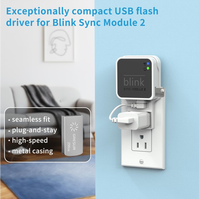 256GB USB Flash Drive for Blink Sync Module 2 with Outlet Wall Mount(1Pack) gallery
