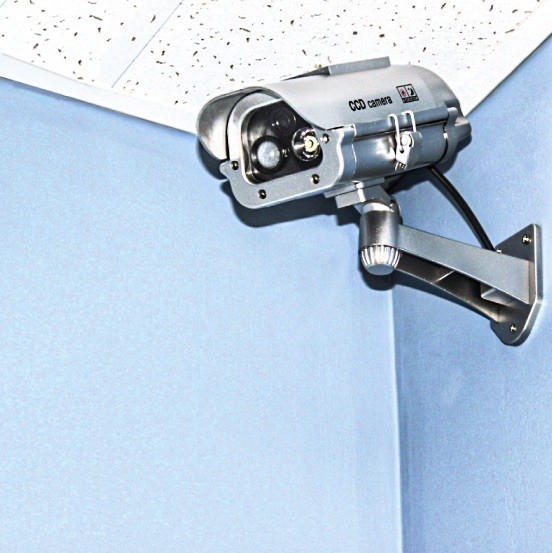 Indoor or Outdoor Motion Activated Infrared Dummy Camera – DM-IRMOTION