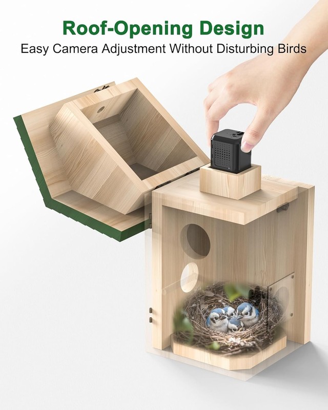2K HD Solar Bird Watching House with Wi-Fi Camera - Perfect for Bird Enthusiasts gallery