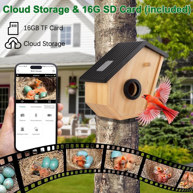 Bird House with Camera Solar Powered,2K HD Bluebird House gallery