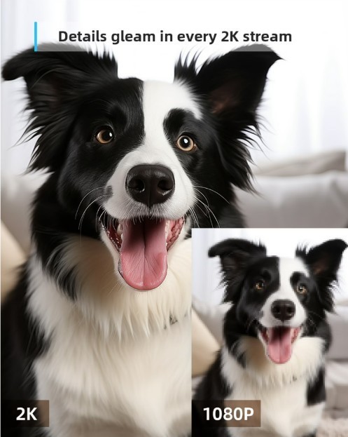 2pcs Blurams Dome Lite 2 Home 2K Security Camera, 360-degree/2-Way Audio For Pet gallery