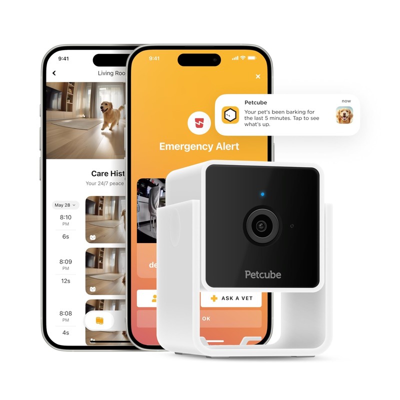 Cam | Indoor Wi-Fi Pet and Security Camera with Phone App, Pet Monitor with 2…