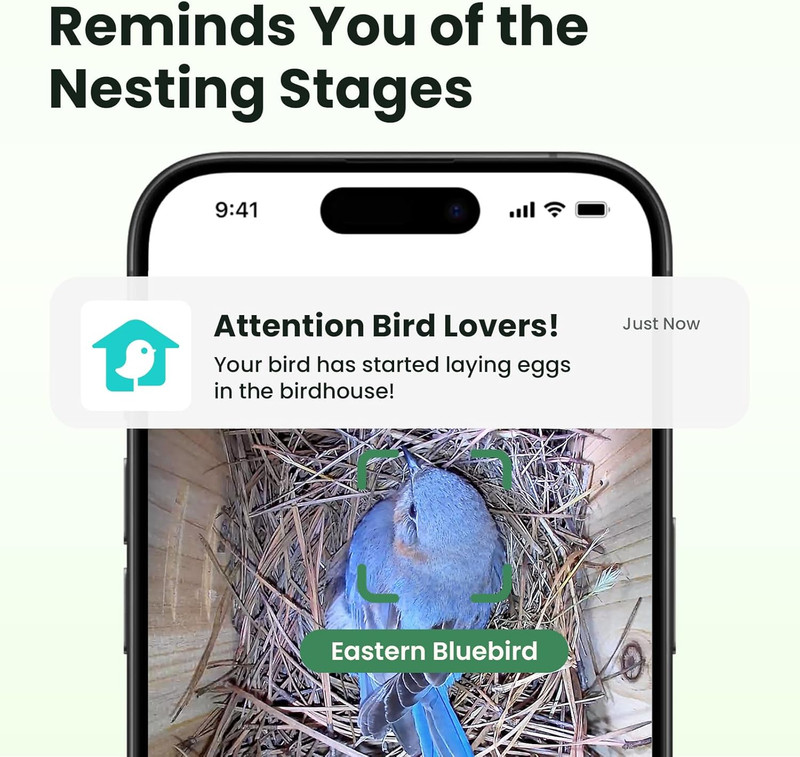 Smart Bird House with Camera Solar Powered, 1080HD Live Video & Night Vision for gallery