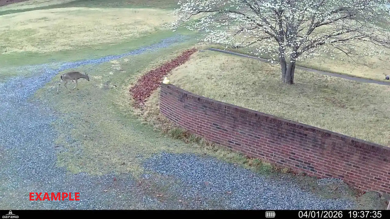 Tactacam Defend Cam Gen 1 Cellular Security Camera and Solar Panel gallery