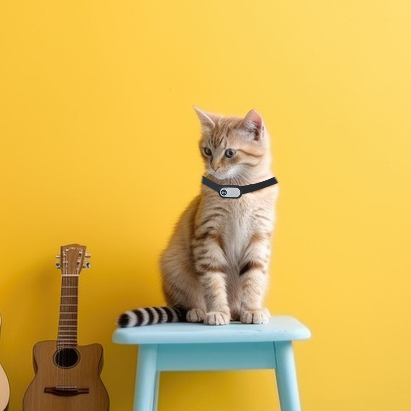 With Video Records Cat Camera Collar No WiFi Needed Pet Sport Action Camera gallery