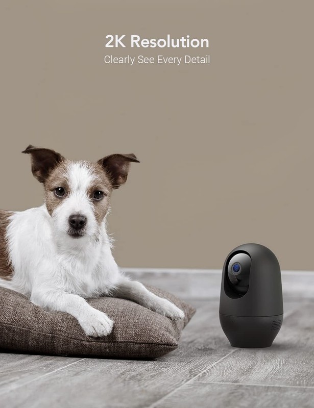 Nooie Pet Camera 2K, 360°Pan/Tilt Wi-Fi Monitoring Cam gallery