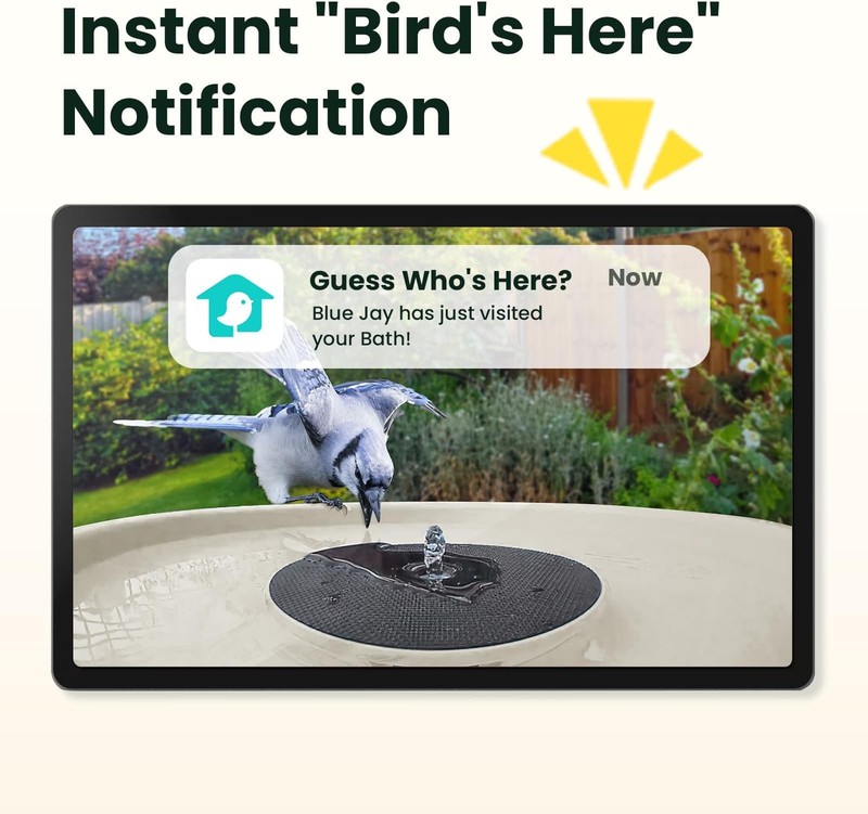 Birdfy Smart Bird Bath with Camera Solar Powered & Solar Fountain & Stand, Du... gallery