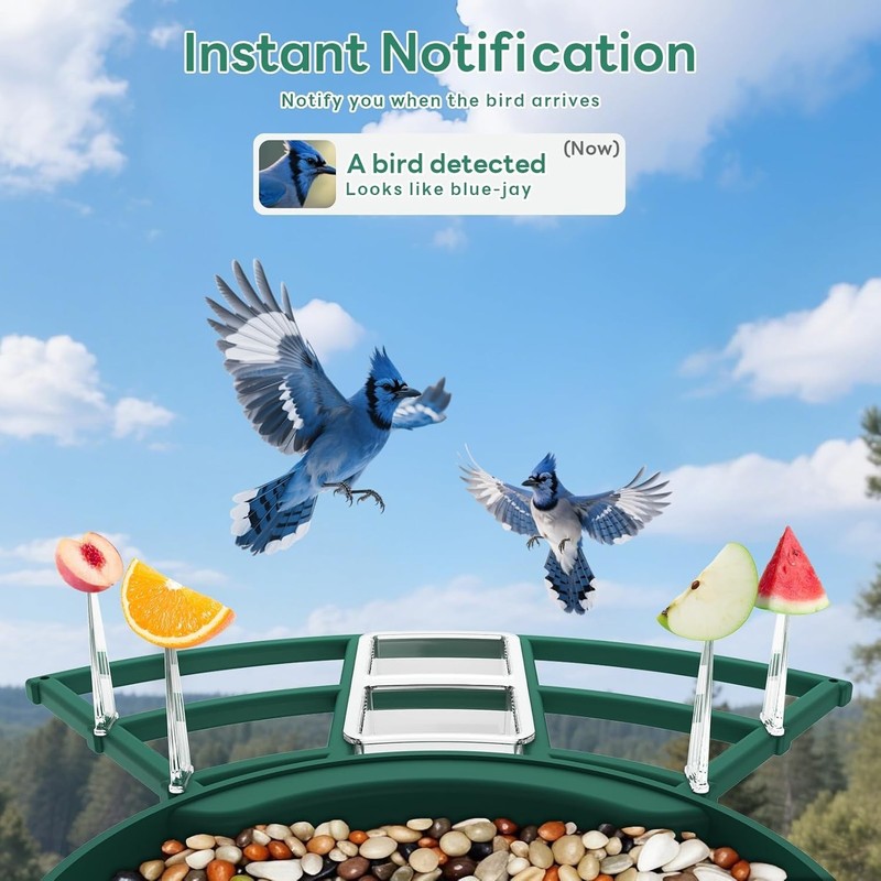 Cellular Smart Birdfeeder Cam, Built-in 4G LTE Sim Card, Solar Powered gallery