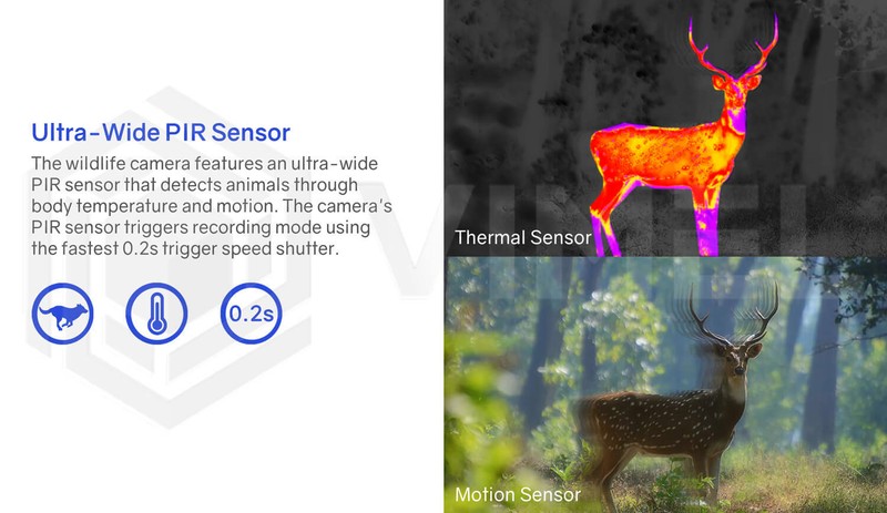 Outdoor Water Resistant 128GB Trail Camera Hunting 32MP UHD 4K High-End gallery