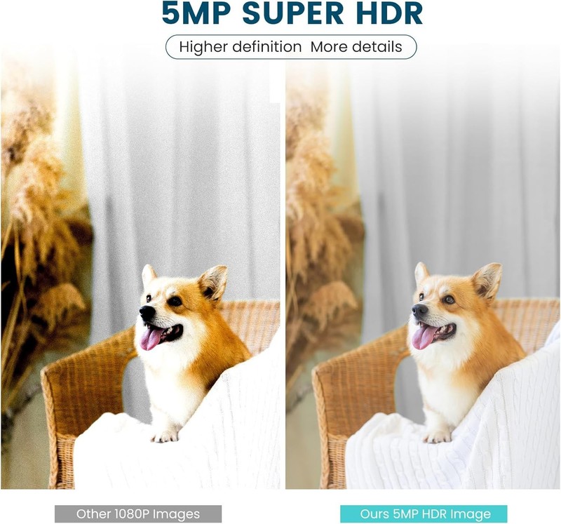 360-Degree Pan/Tilt Indoor Camera with Cry Detection & Alexa Compatibility gallery