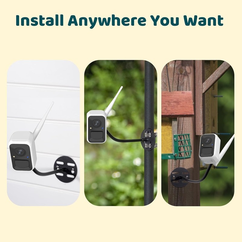 Netvue NI-8202 Birdfly Cam FHD Camera 1080p White For Bird Watching id 6k specie gallery