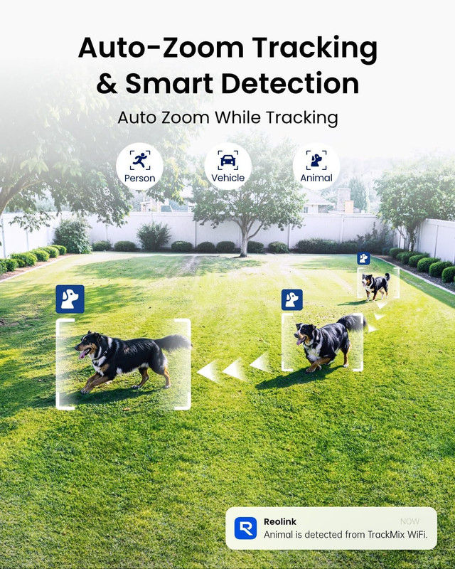 REOLINK 4K Wired Wifi Outdoor Camera, 8MP Dual Lens Security Camera, 360 PTZ Cam gallery