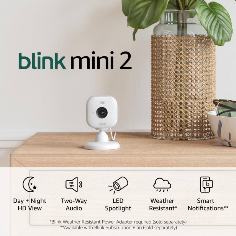 Blink Mini 2 2-Pack 1080p Indoor/Outdoor Wi-Fi Cameras, Alexa, Spotlight