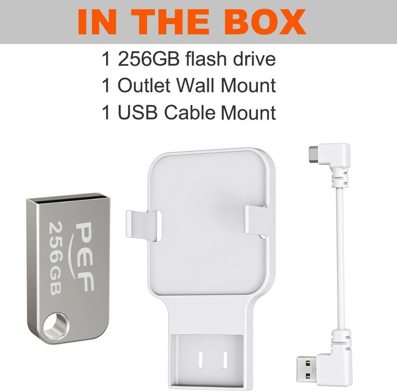256GB Blink USB Flash Drive and Outlet Wall Mount for Blink Sync Module 2, Local gallery