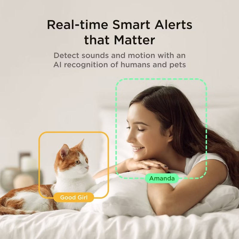Petcube Play 2 Wi-Fi Pet Camera with Laser Toy for Cats & gallery