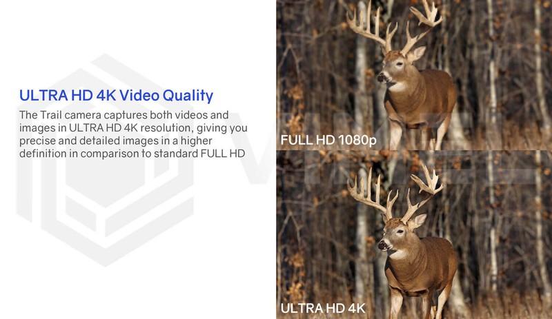 Outdoor Water Resistant 128GB Trail Camera Hunting 32MP UHD 4K High-End gallery