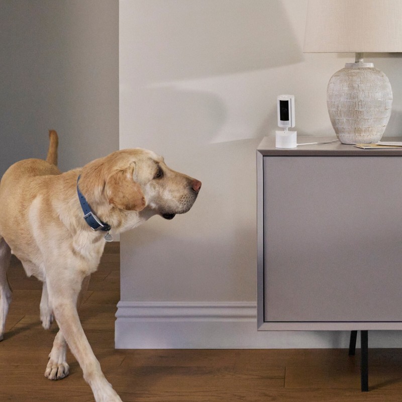 Ring Pan-Tilt Indoor Cam with 360° Horizontal Pan Coverage, Live View & Two-Way gallery